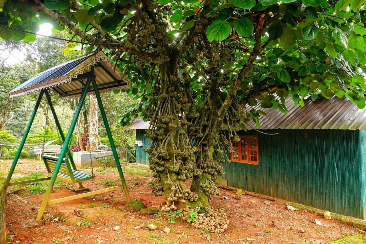 Hill Valley Farm House Nelliyampathy Exterior foto